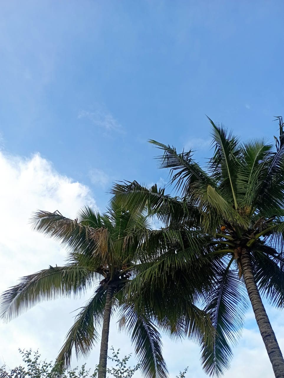 Let`s skip the headline...