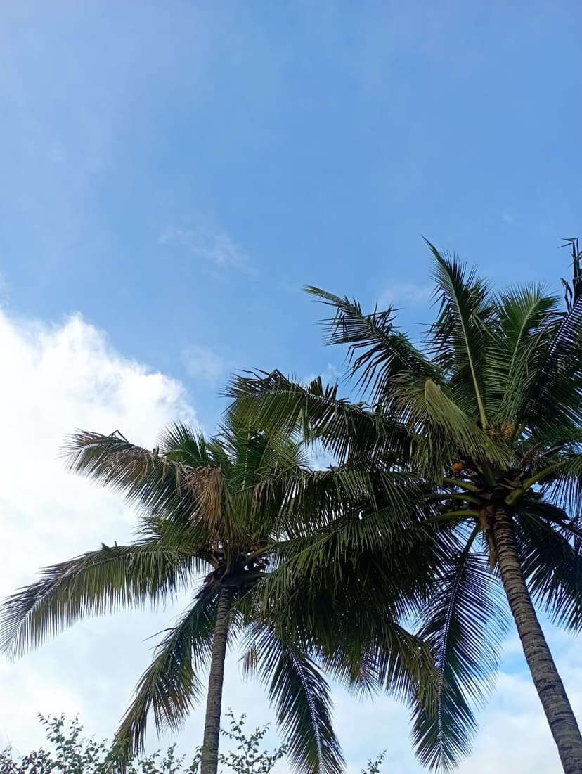 Let`s skip the headline...